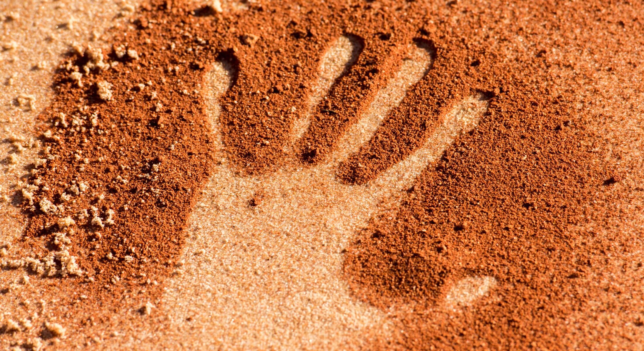 Indigenous Hand Print
