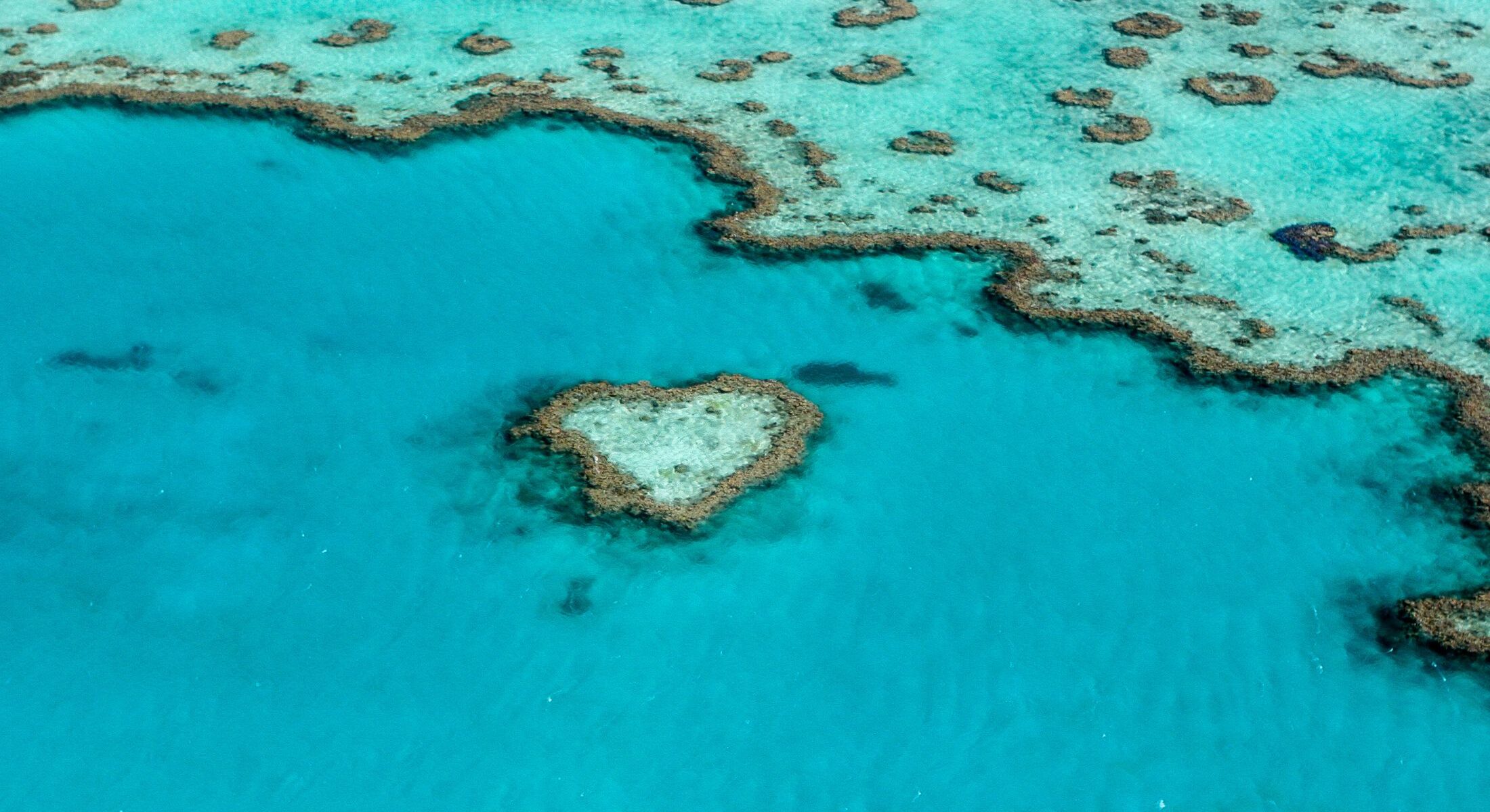 Novotel WWF partnership