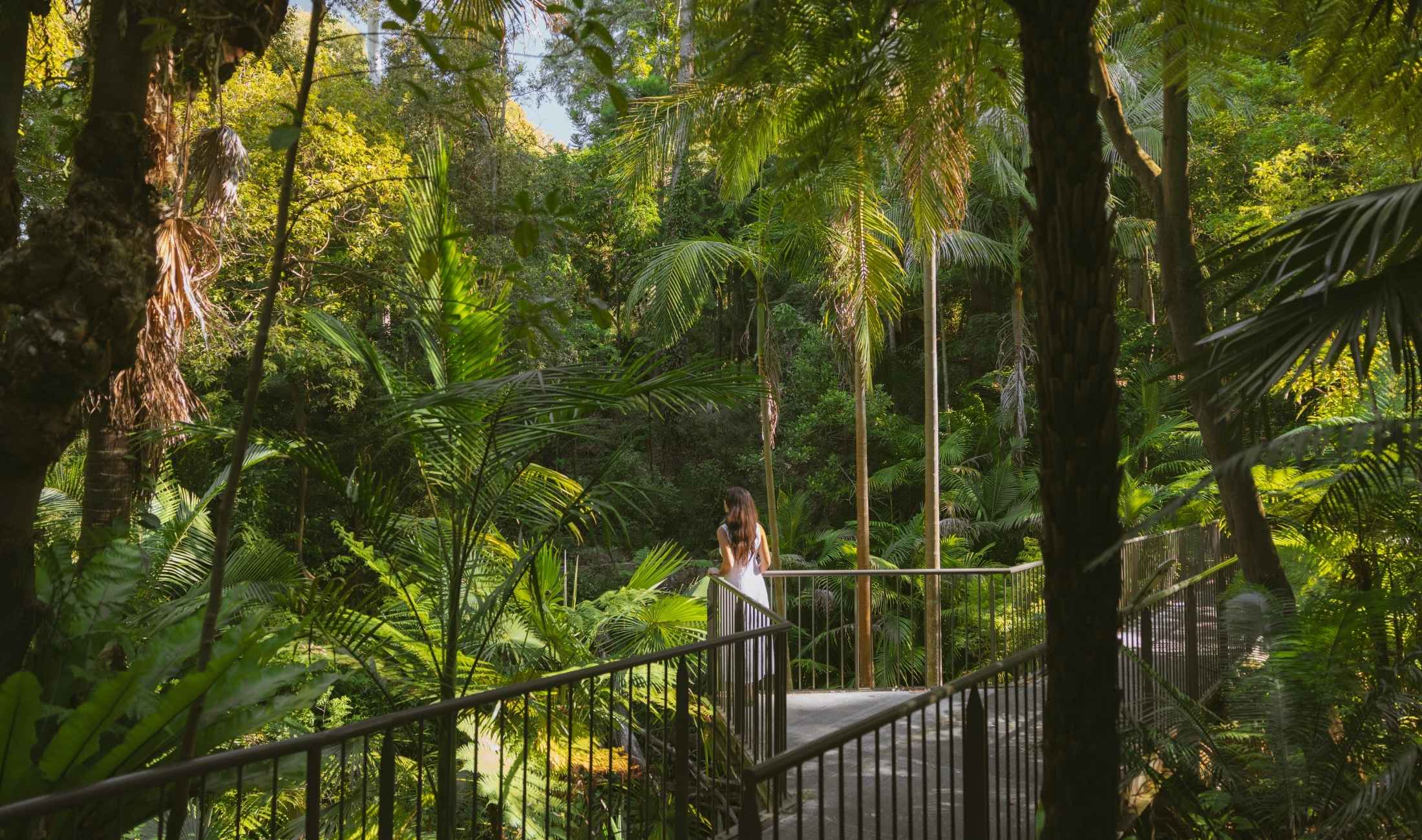 Australian National Botanic Gardens